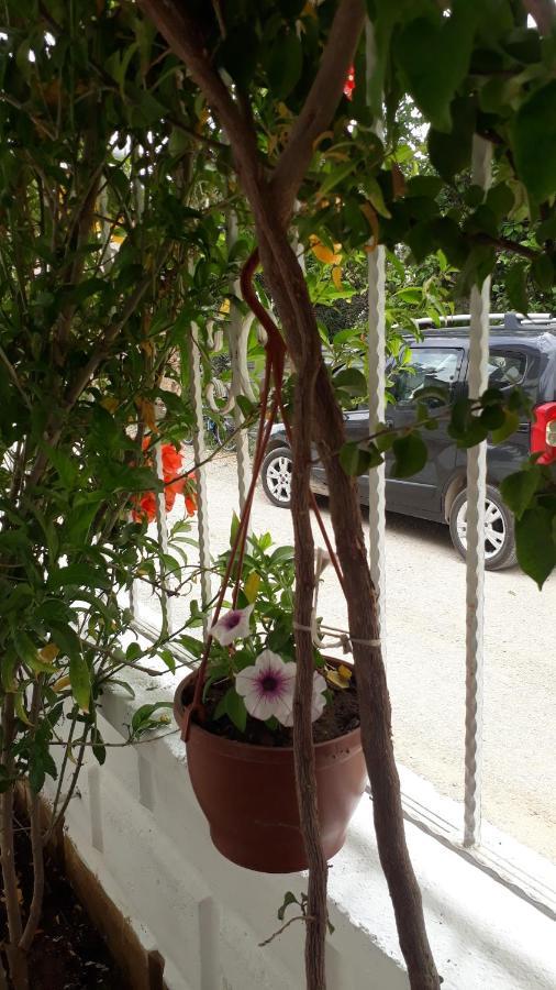 Stella City Apartments Fethiye Exterior photo